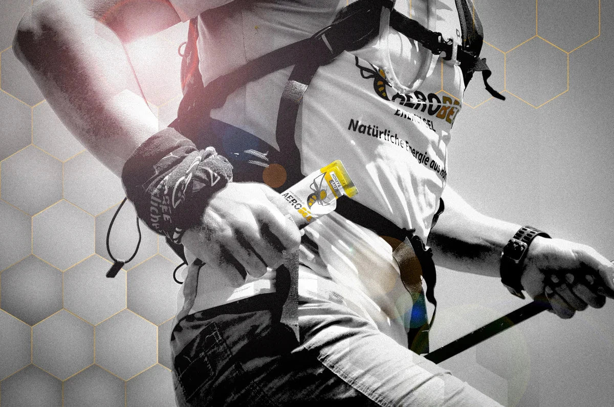 Aerobee