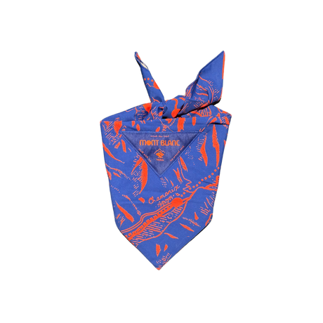 RABBIT Ice Bandana